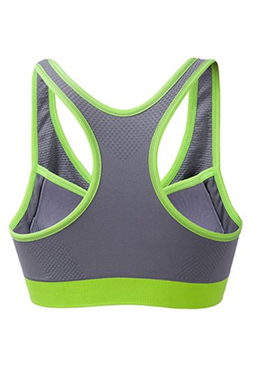 Women Zipper Sports Bra Multiple Color Combination