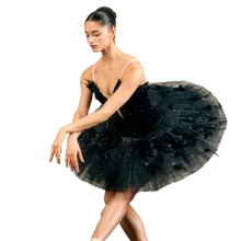 wholesale dancewear supplier