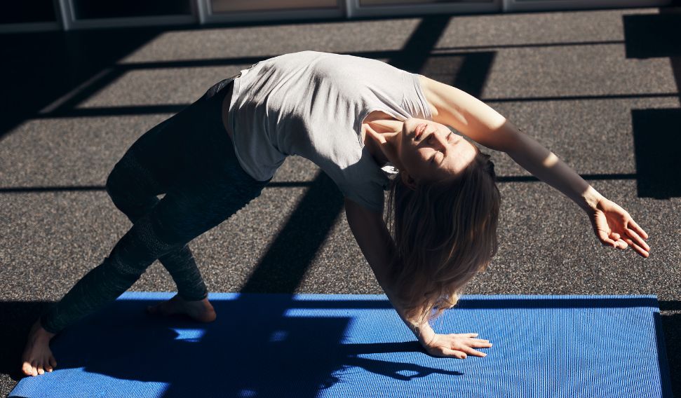 activewear manufacturer catalog