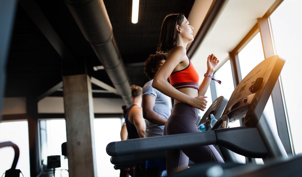 seasonal activewear clothing catalog